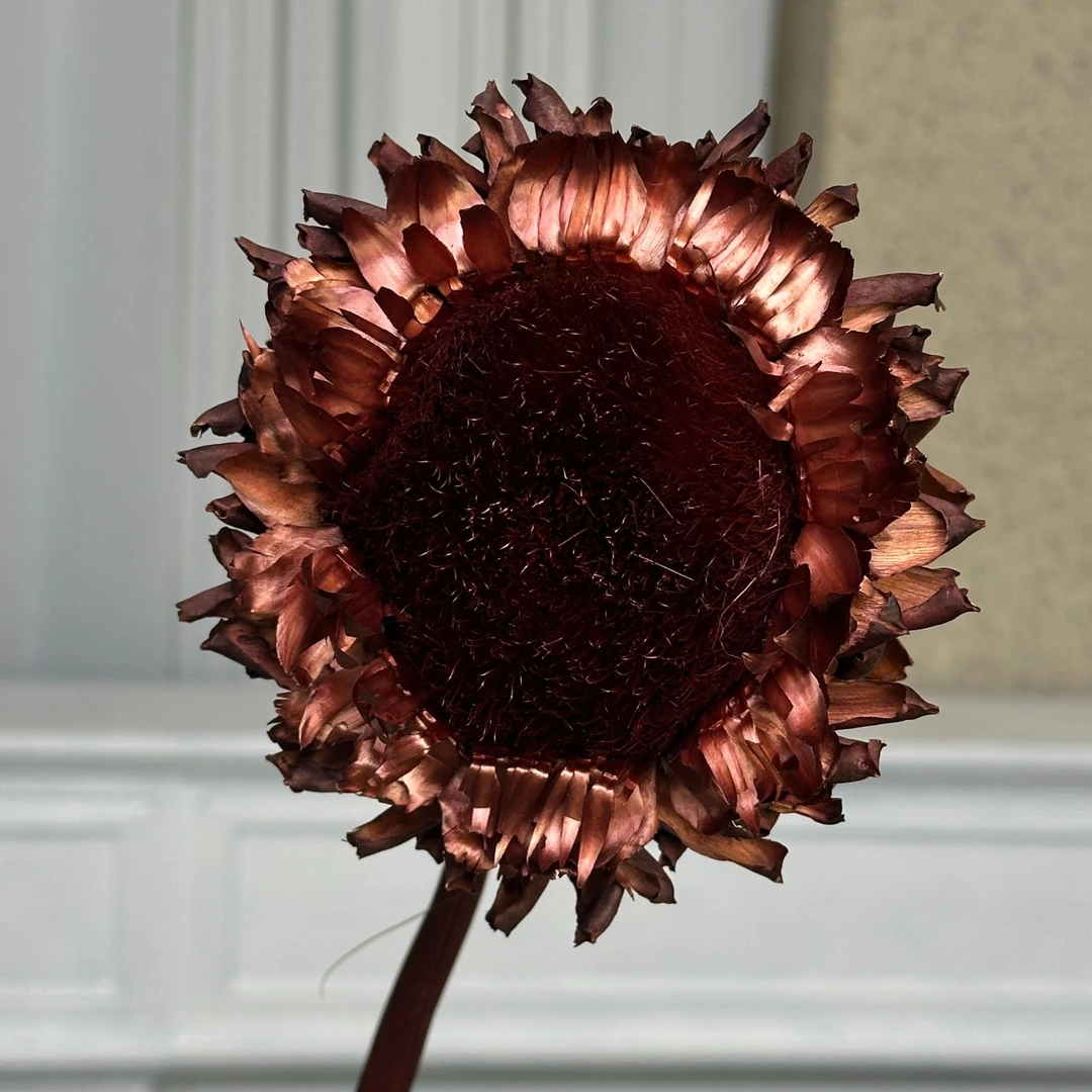 装饰插花洋蓟软装陈设