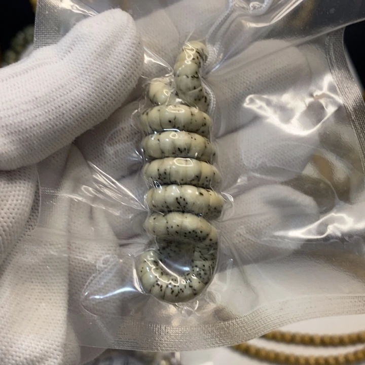 星月菩提吊坠海南星月菩提手串6改河豚大肠