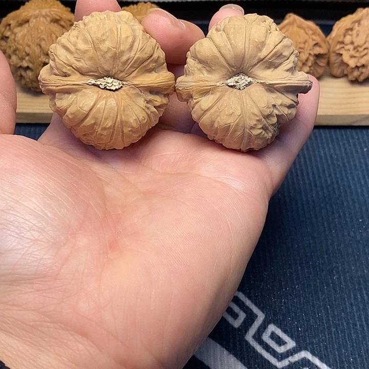 核桃44南瓜福利核桃