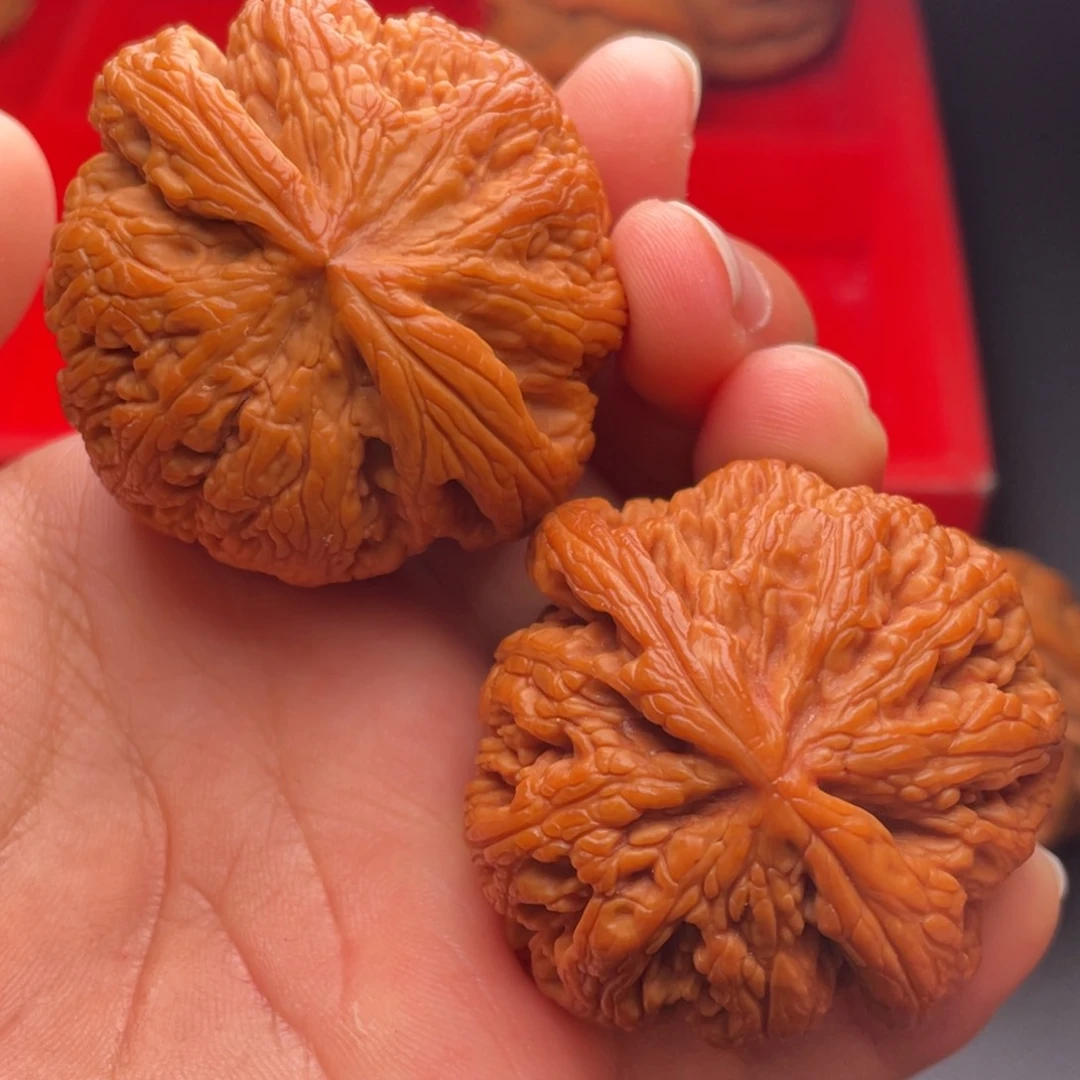 文玩核桃把件秦岭山脉核桃