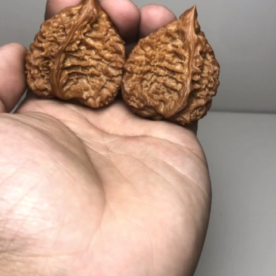 官帽半臂核桃60尺寸