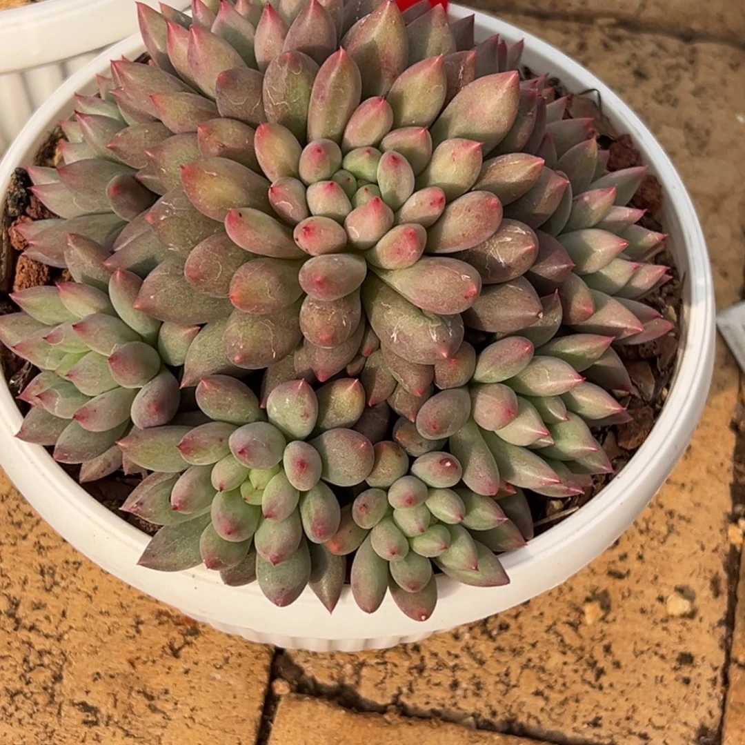 孤***寒孤心78、