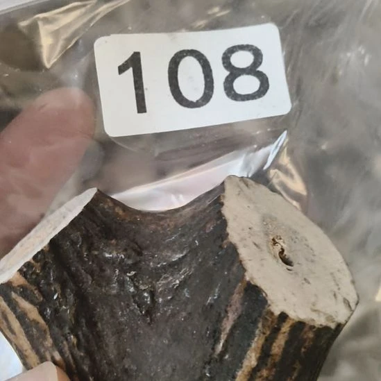 用***2鹿角鹿角鹿角鹿角鹿角鹿角