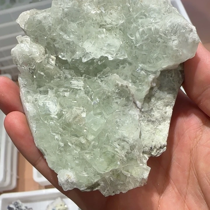一***驴昌化石印石原石料