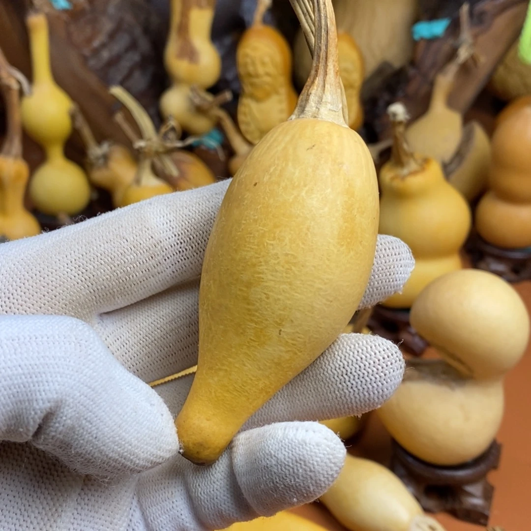 坤***哥教练教练咯教练咯