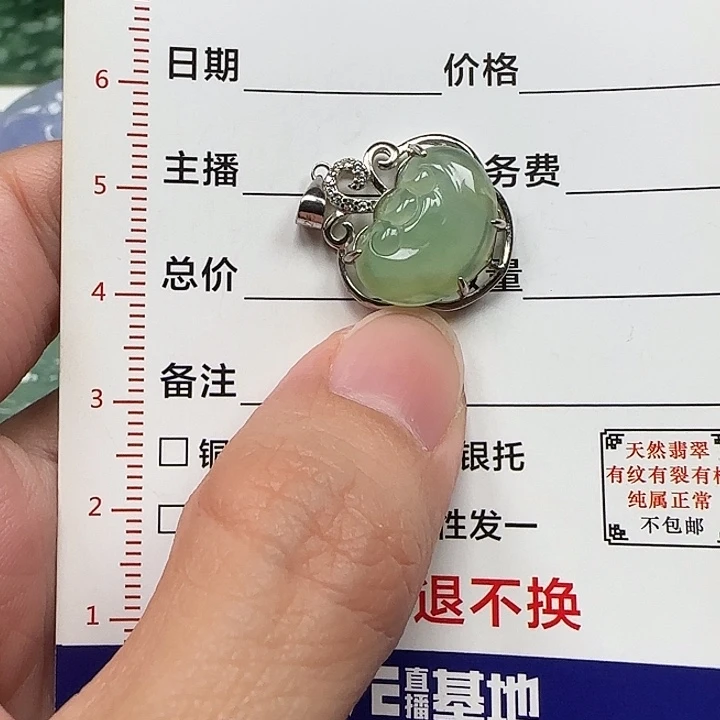 翡翠银S925镶嵌颈饰天然