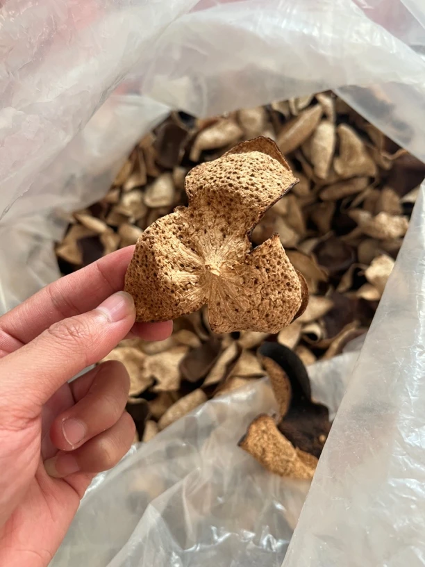 2012年新会梅江陈皮 自家果园天然生晒圈枝大红皮