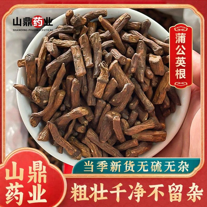 山鼎药业【蒲公英 蒲公英茶 蒲公英根】高品质公映 公英泡水泡茶