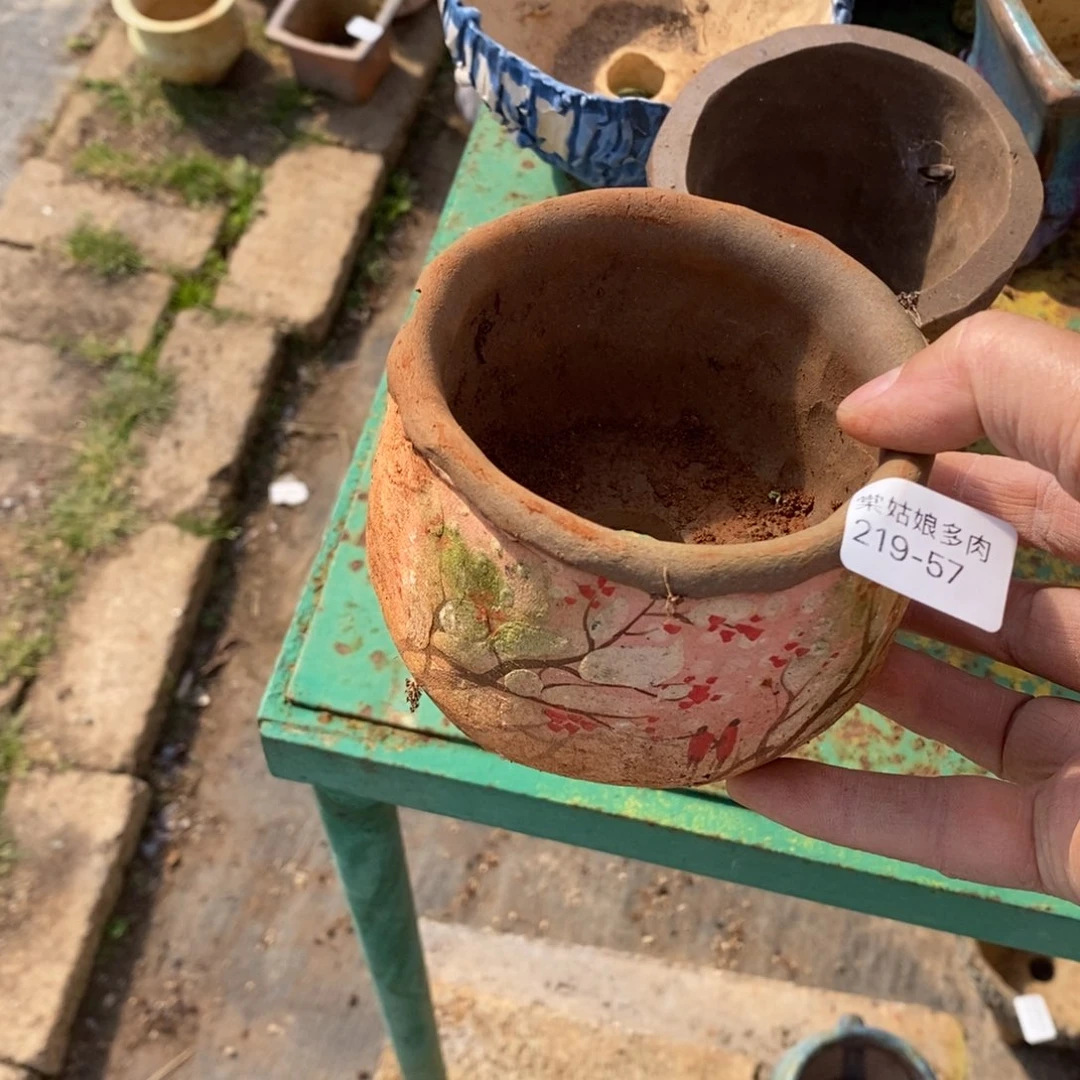 红陶屿57号多肉盆瑕疵瑕疵