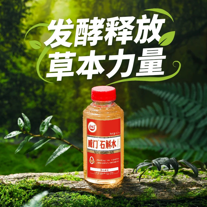 （宴请聚会）仙草石斛水植物饮料饮品好喝健康400ml消费券用券好物