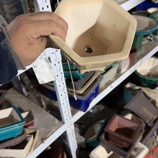 一哈来我这儿吃饭啊亲爱的媳妇