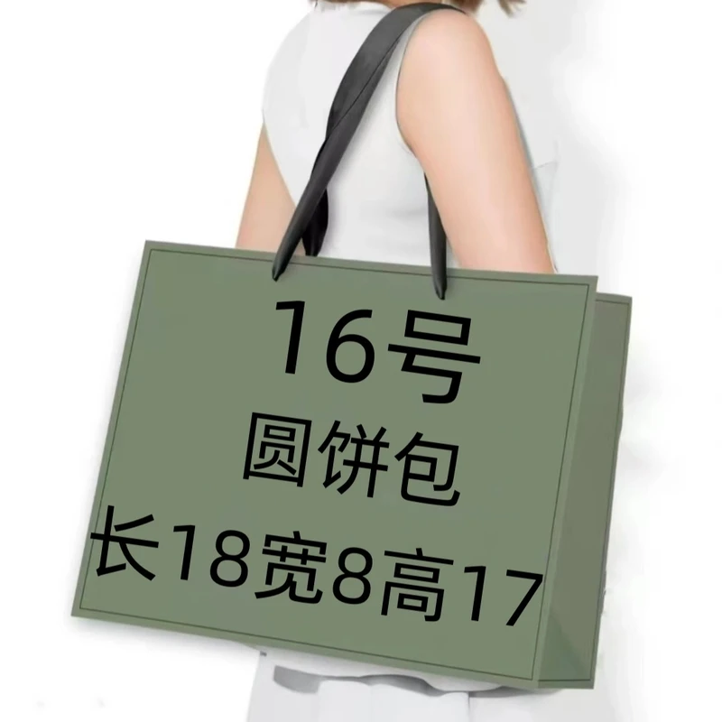 【16号】2025秋冬时尚百搭款圆饼包6609-6