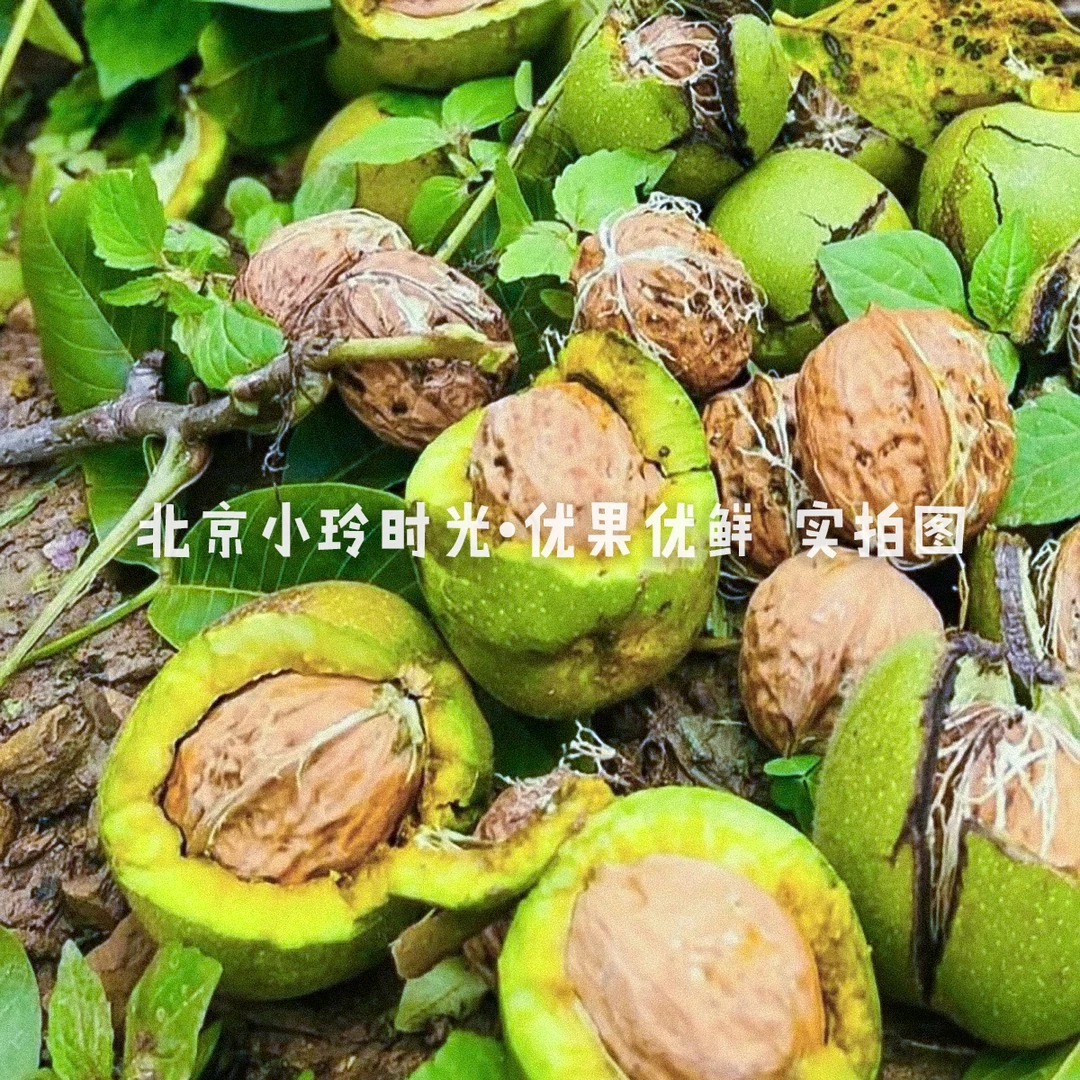 【纯手工·新鲜核桃】承诺不打蜡不泡药·安心薄皮湿核桃·宝宝孕妇放心吃·老办法种植·没有任何科技狠活水果