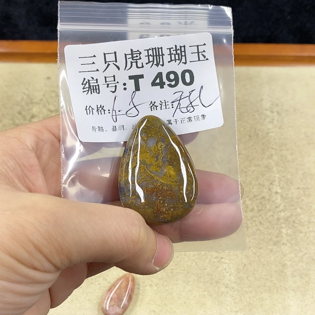 硅化珊瑚（珊瑚玉）1未镶嵌A****王