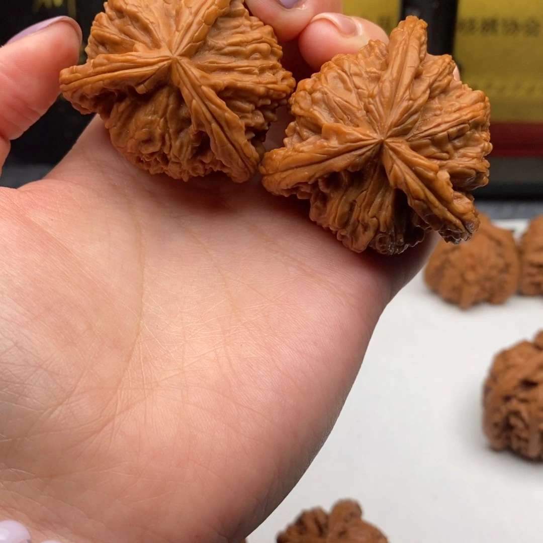 你*白狮子111111111