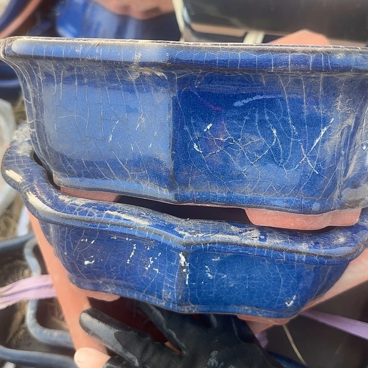 紫砂和花木两件的制作流程简单