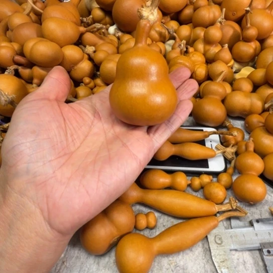 哈***塔马塌塌的一把迷枣堆枣堆葫芦