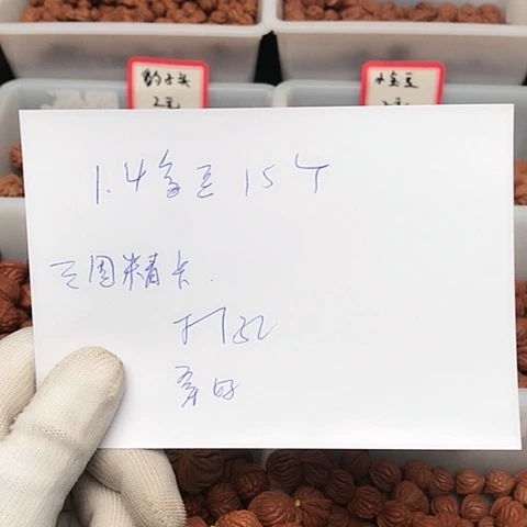 桃核吊坠奋***5龙纹桃核的搭配