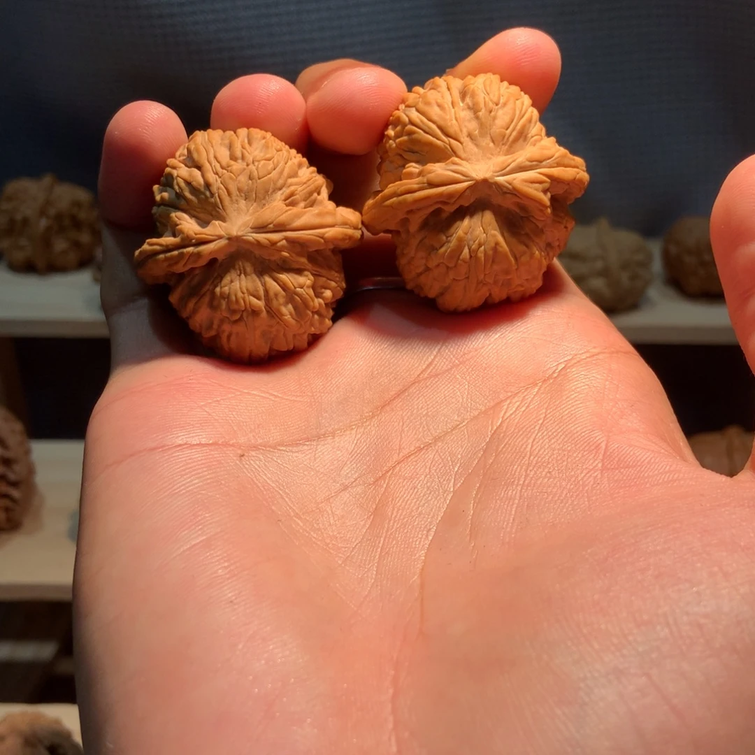 球白狮子文玩核桃