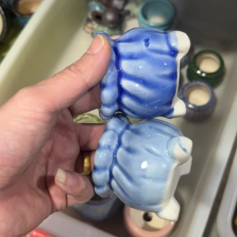 2［所有订单凑满15包邮］5×6