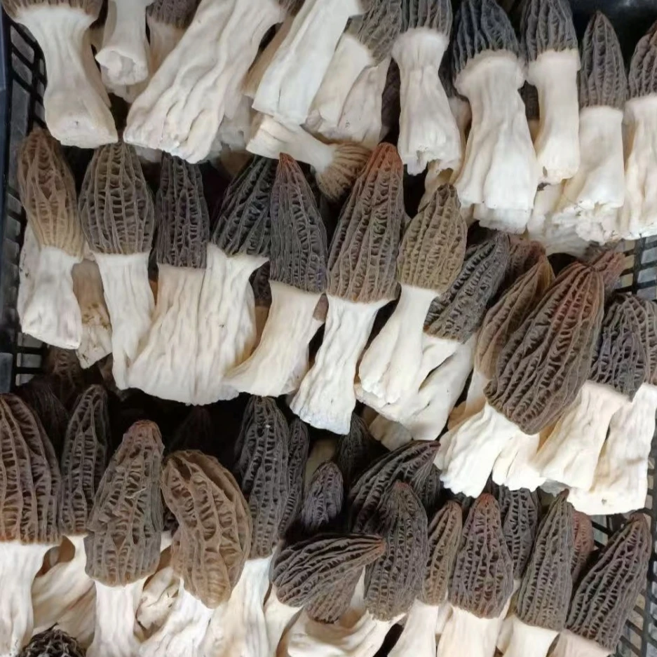 【山海甄选】羊肚菌干货煲汤食材高山野长林下种植营养丰富
