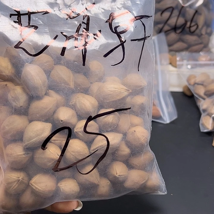艺***作手串/手链橄榄核111