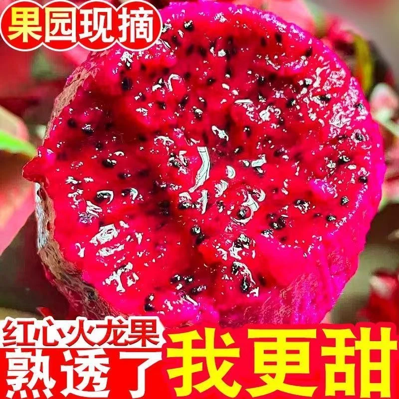 金都一号红心火龙果现摘现发鲜甜多汁当季到手4-8个