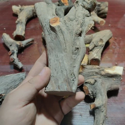 轻***拾大果紫檀（缅甸花梨）