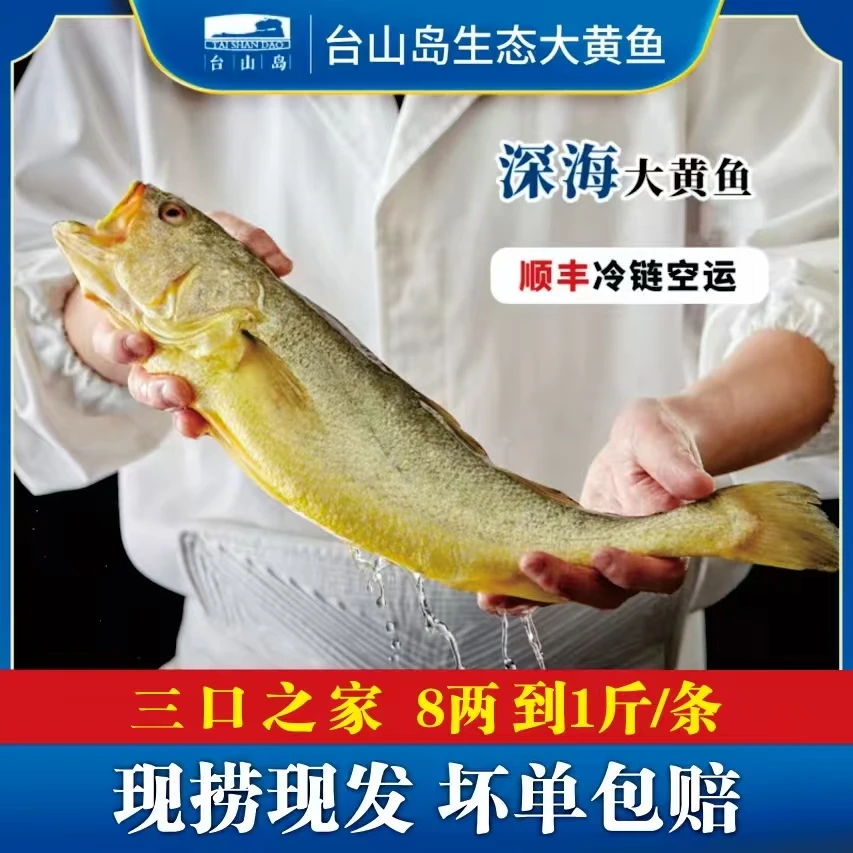 0.7/0.9斤大黄鱼新鲜台山岛海捕现捞黄花鱼鲜冻海鲜