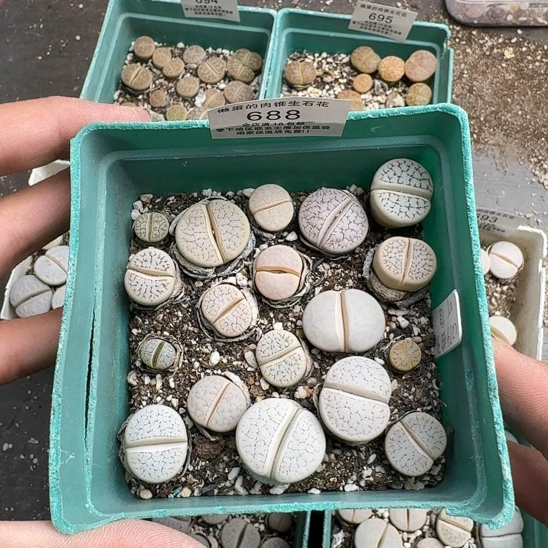 688满18 包邮保温袋联系客服