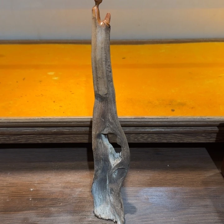 哈***哈柏木（崖柏）嗯、嗯、不好吧这