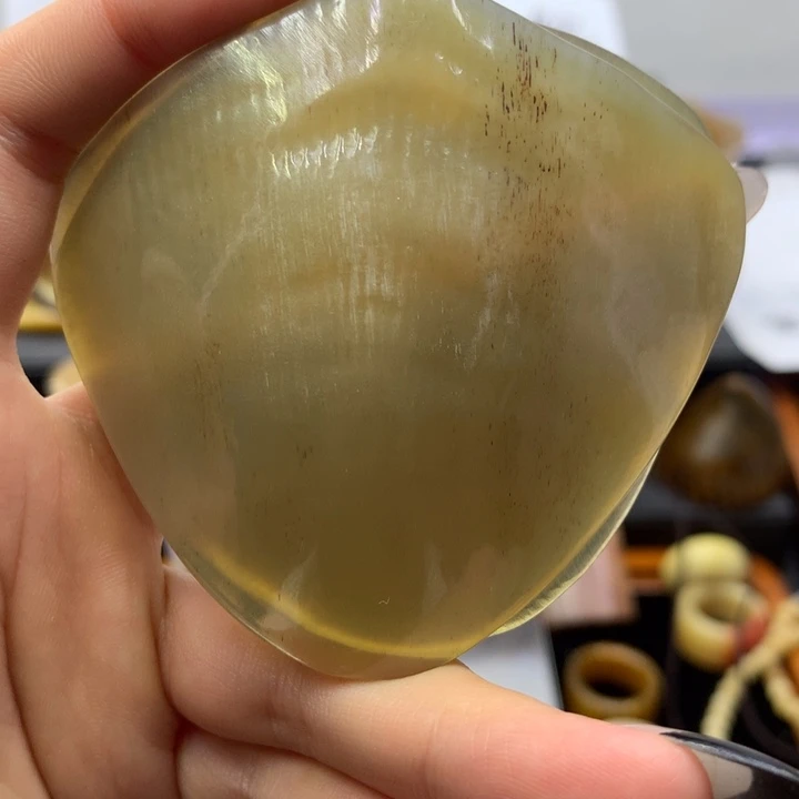 驼骨其他驼骨