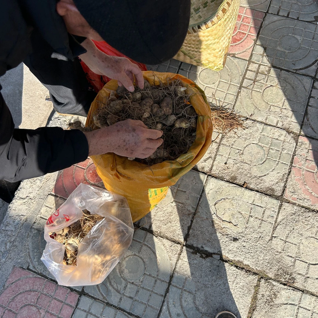 湖南新化 高山特产 初级农产品