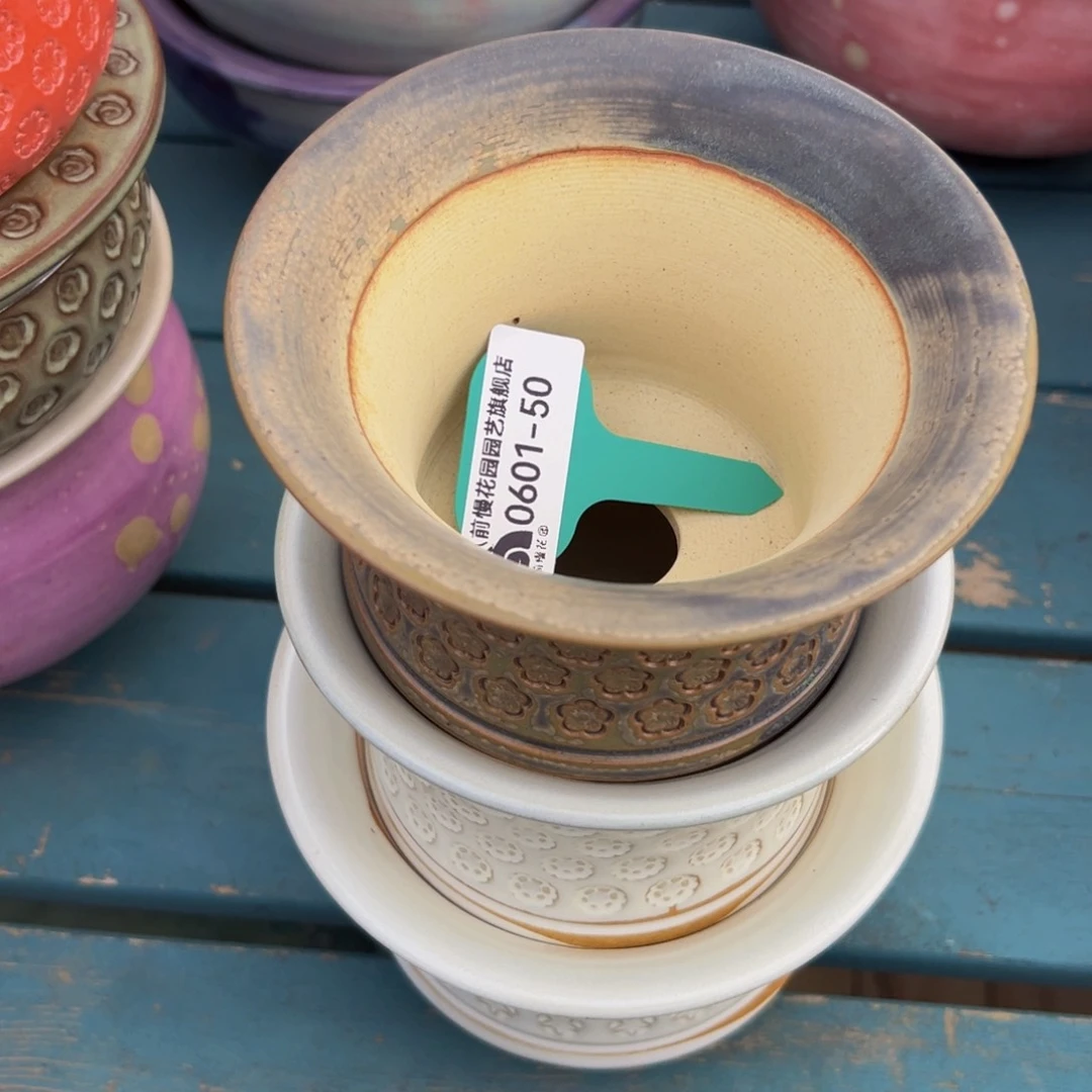 随**?多肉一物一拍0601-50