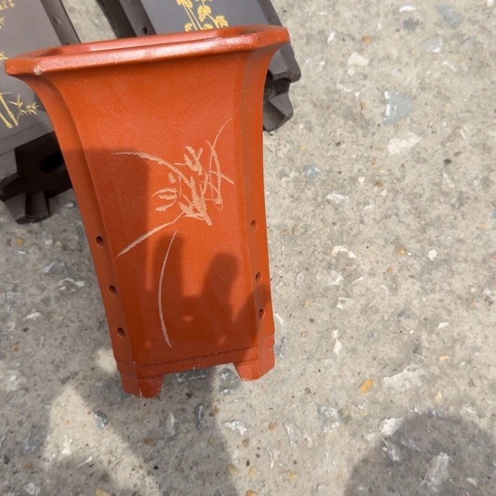 紫砂花盆f hui chu o c k le ch h