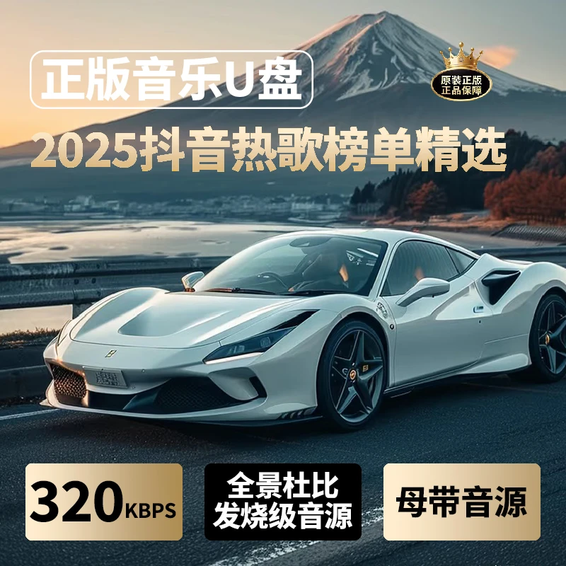 【2025全新】精选歌单母带音源灌入一车一拍专车专用经典车载音乐盘