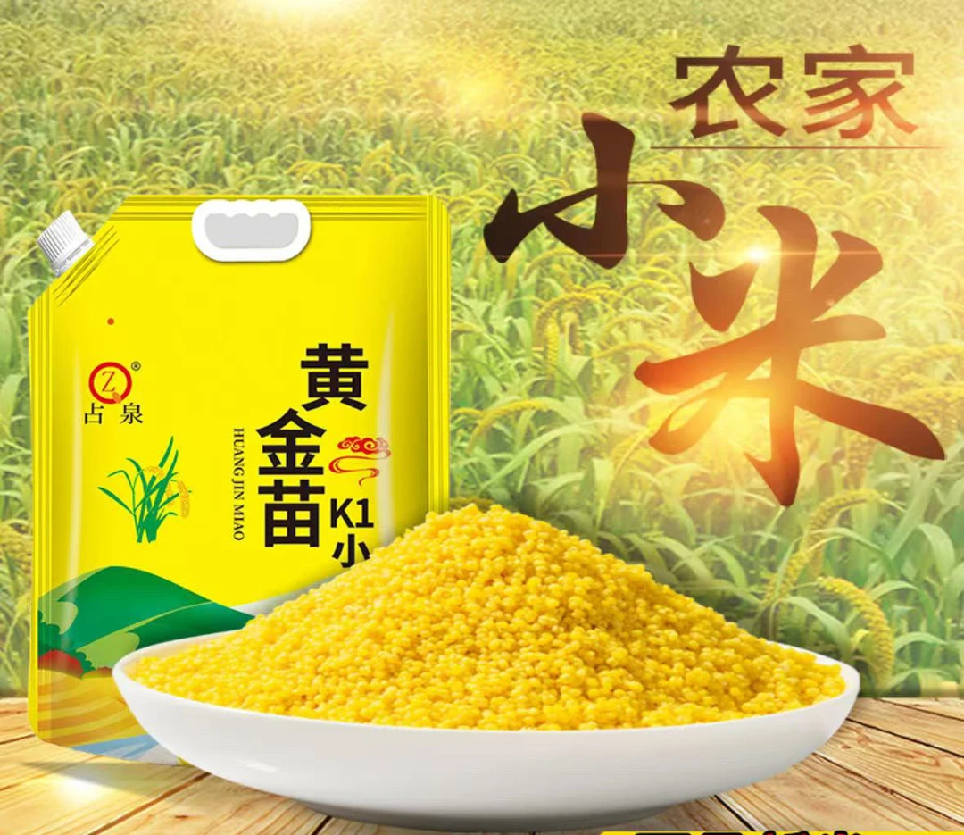 占泉黄金苗k1农家苗小米东北朝阳养胃开胃杂粮黄小米