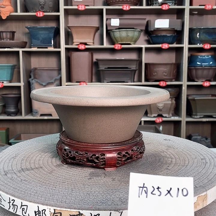 紫砂花盆流**反紫砂的花也太美