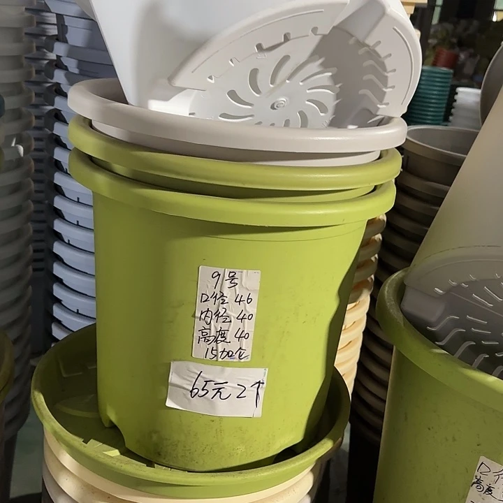 微瑕9#口径46无托果绿3个