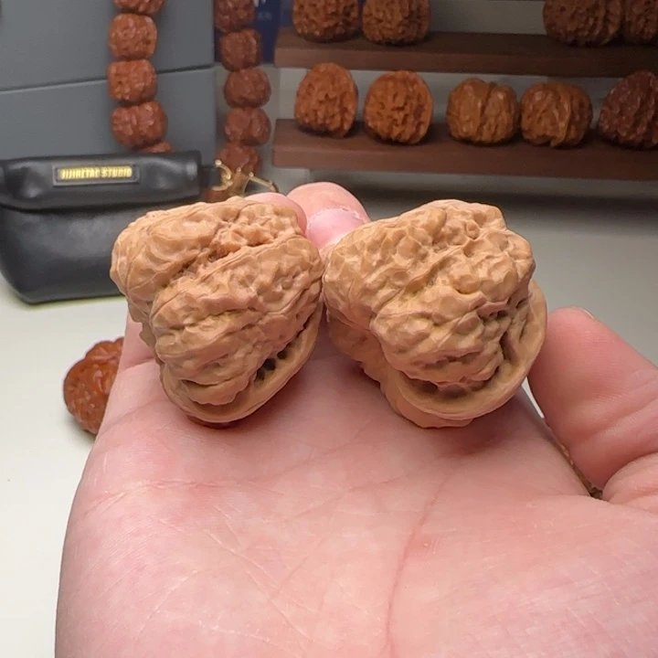 L39-41-33大腿肌肉蛙B21号