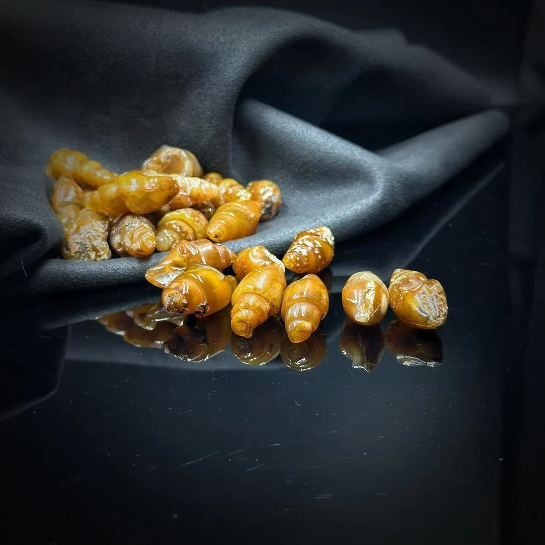 【缪老师严选】SJ0994 螺造型吊坠 多样性发其一