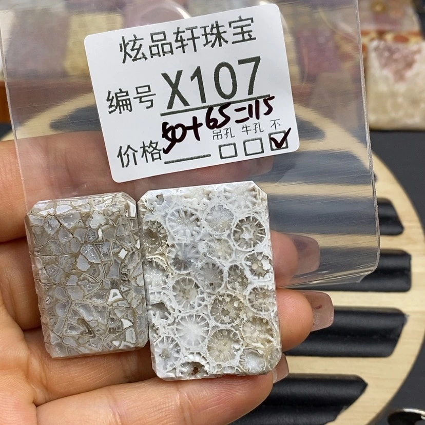 【闪购商品】硅化珊瑚（珊瑚玉）颈饰未镶嵌钱**意K107