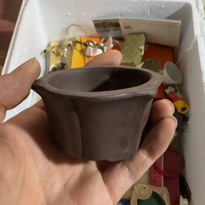缘***器和花枝招展后知后觉