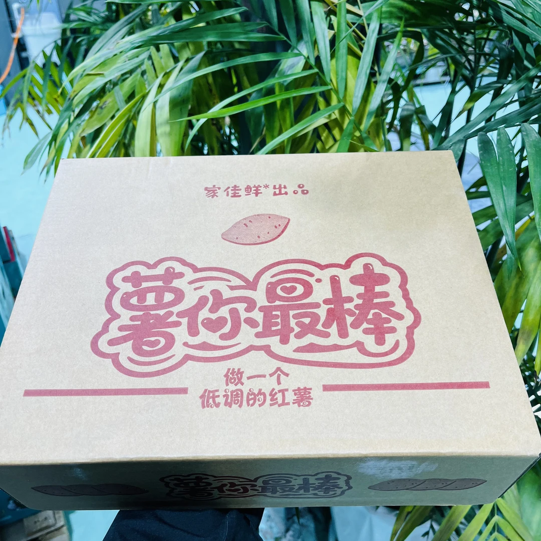 【一箱】烟薯25号流蜜薯带箱5斤左右 糖心烤着吃流油只发天津主城区