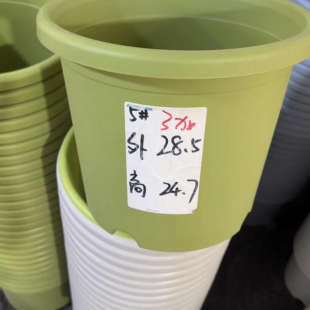微瑕5号无托6个，果绿