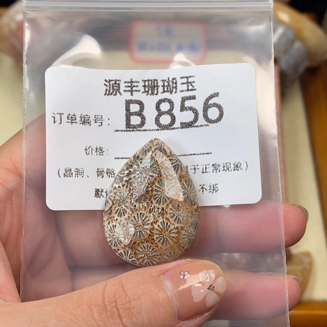 泥***家未镶嵌颈饰硅化玉