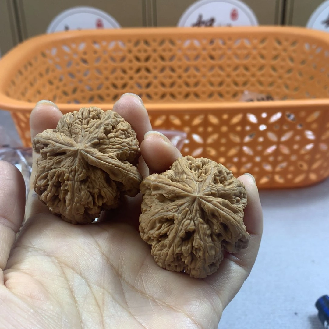 须****3文玩核桃大粗筋44