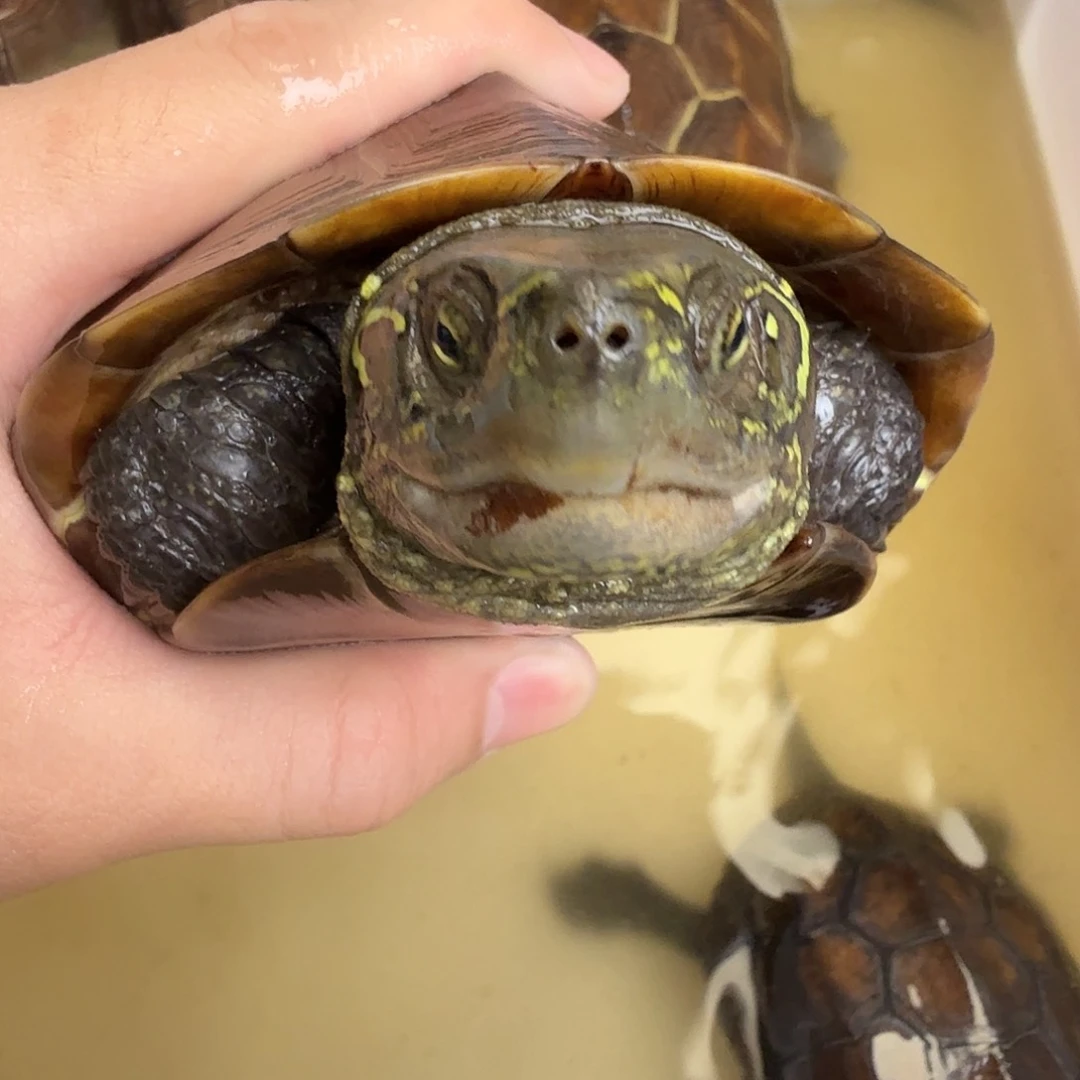 666666666过*6666666666