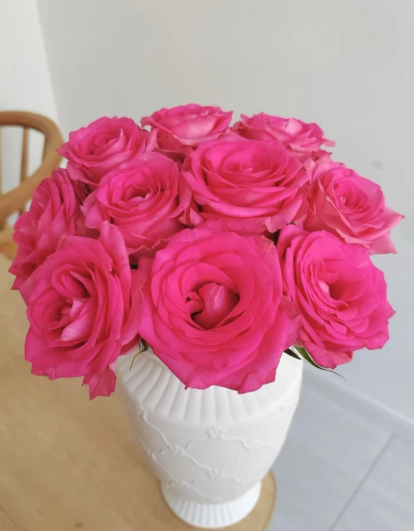 【陌上花开】桃夭-单头玫瑰