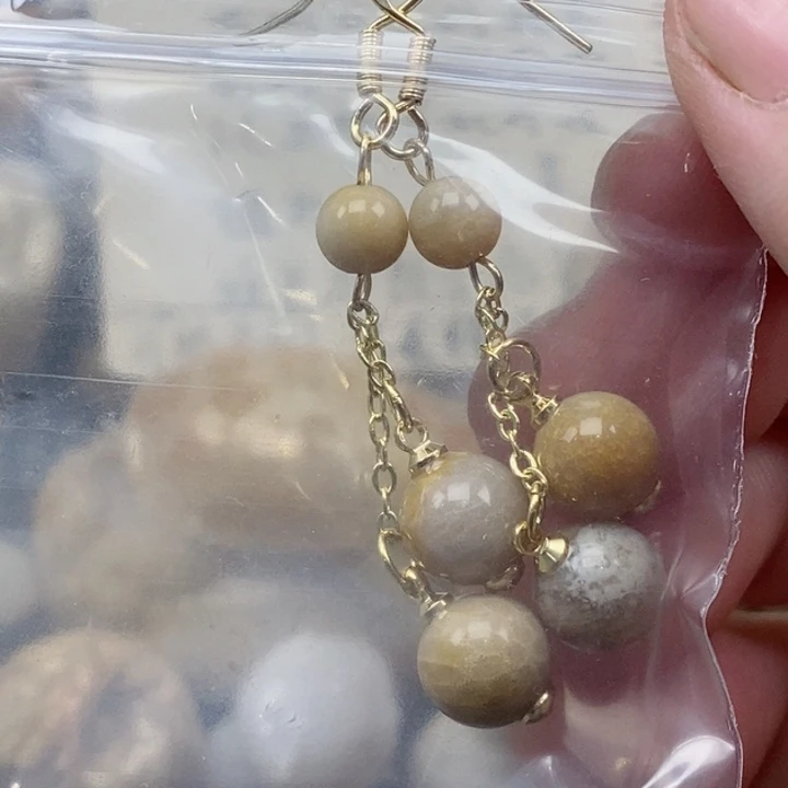 颈饰未镶嵌硅化珊瑚（珊瑚玉）